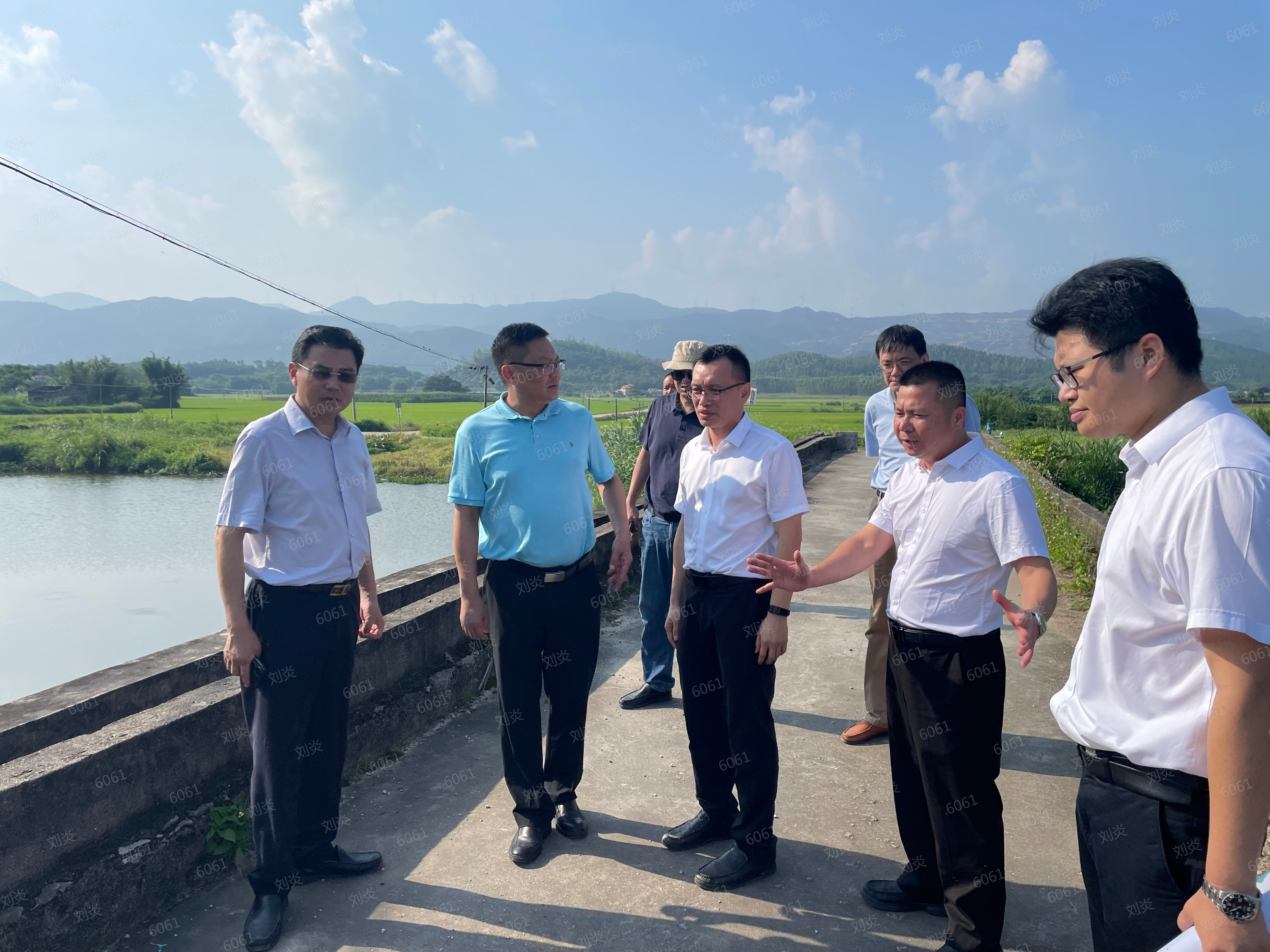 圖3 督導組調(diào)研臺山市石美橋.png