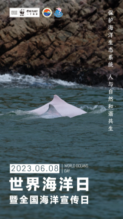 230613保護(hù)海洋生態(tài)系統(tǒng) 人與自然和諧共生 (1).png