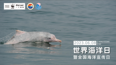 230613保護(hù)海洋生態(tài)系統(tǒng) 人與自然和諧共生 (2).png