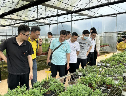 230619市自然資源局機關(guān)第四黨支部與市測繪大隊黨支部、市林業(yè)有害生物防治檢疫管理站黨支部開展“黨建引領(lǐng)聚合力 繪就綠美新僑都”主題黨日活動 (1).png