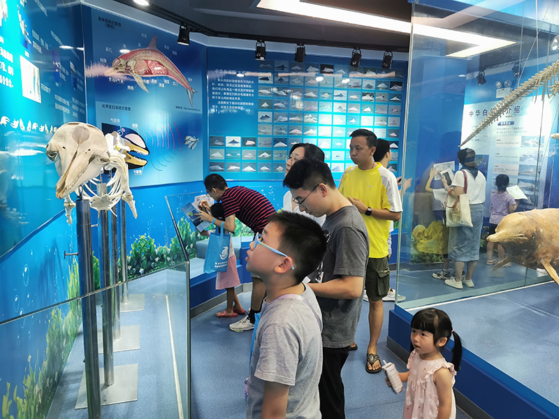 230713江門(mén)科普自“游”行之守護(hù)“海上大熊貓” (1).jpg