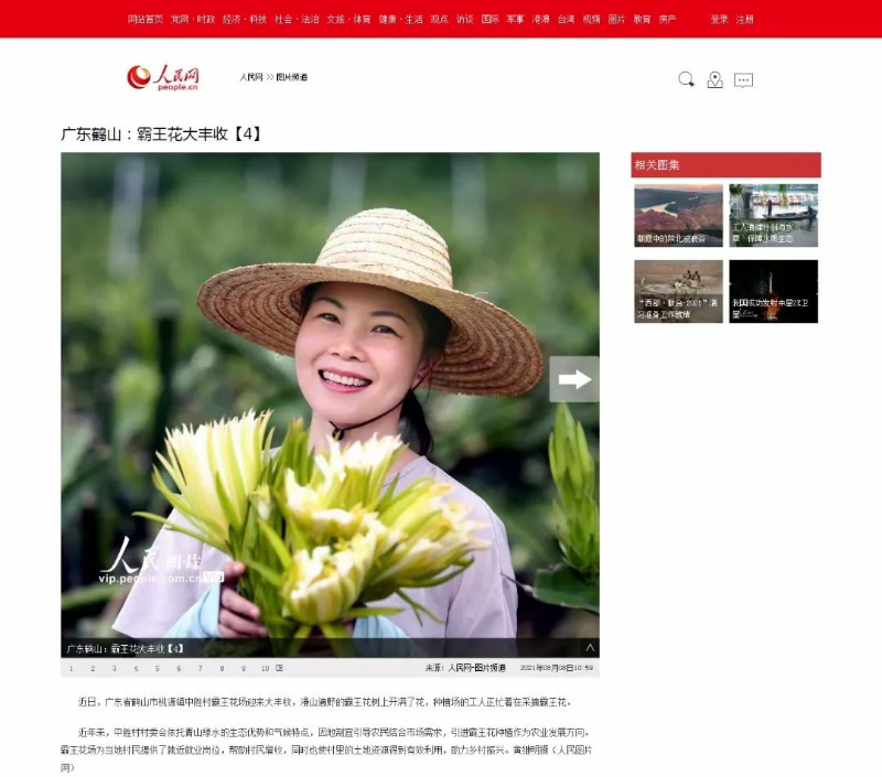 圖片