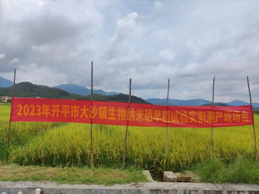 圖片2.jpg