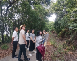 230928省林業(yè)局第四核驗(yàn)小組到我市開展森林城鎮(zhèn)核驗(yàn)工作 (6).jpg