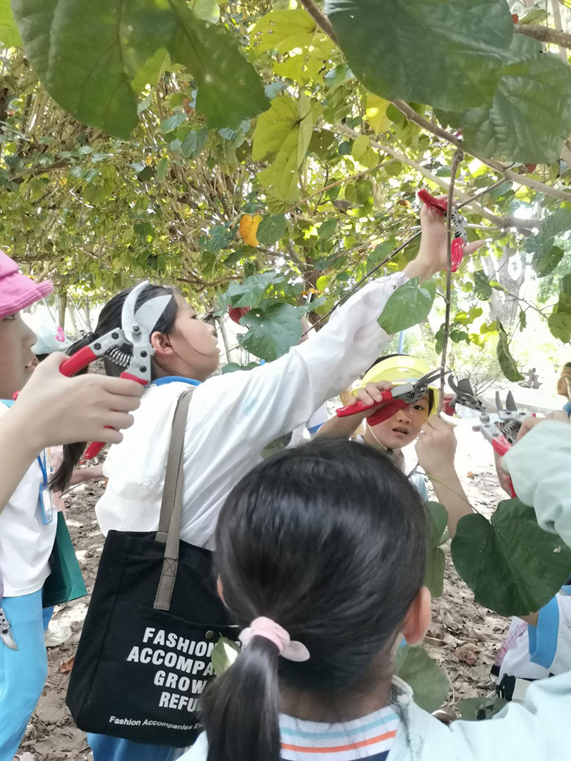 231008臺山市甫草林場開學季&bull;“育”見自然系列自然教育活動第一課開講啦 (2).jpg