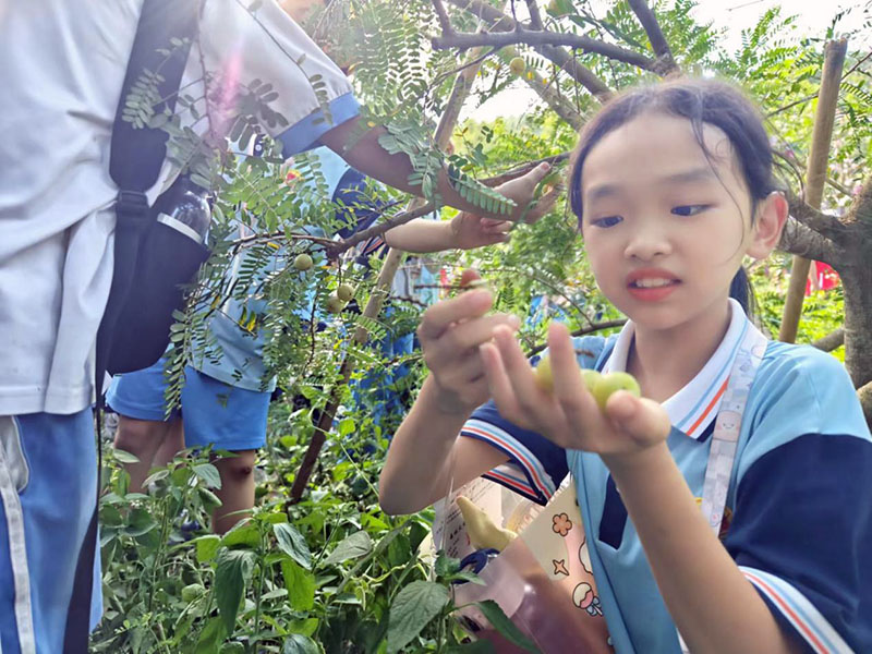 231008臺山市甫草林場開學季&bull;“育”見自然系列自然教育活動第一課開講啦 (5).jpg