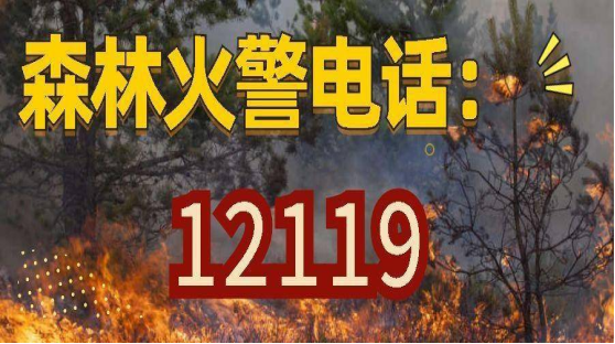 231020防范森林火災(zāi)倡議書 (3).png