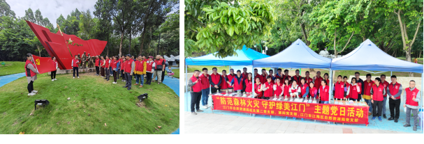 231102防范森林火災(zāi) 守護(hù)綠美江門 (1).png