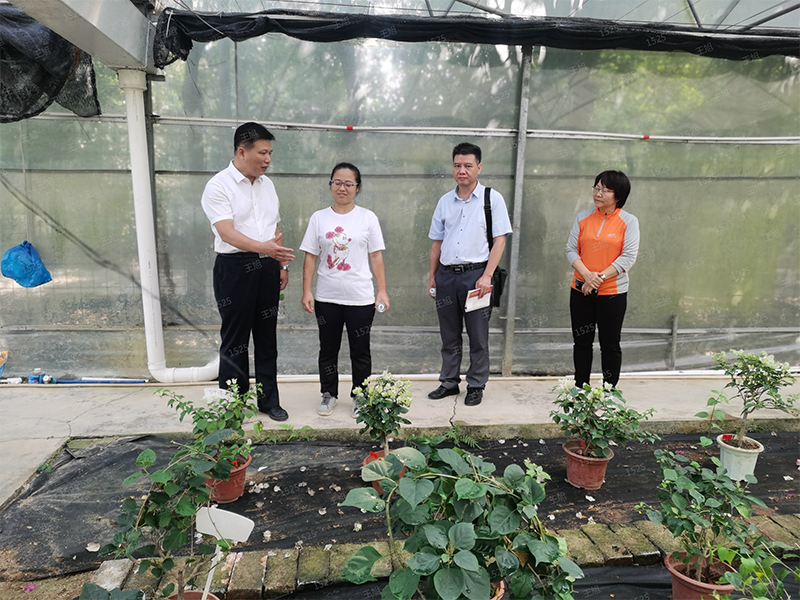 231110用好主題教育“重要抓手” “四下基層”深化黨建引領(lǐng)基層自然資源治理 (2).png
