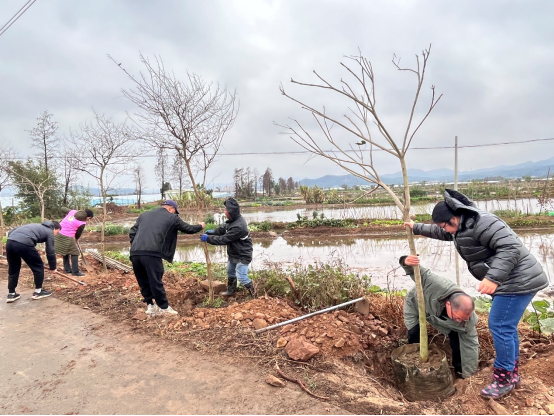 240222春節(jié)植樹不打烊，綠美建設(shè)再啟航 (8).png