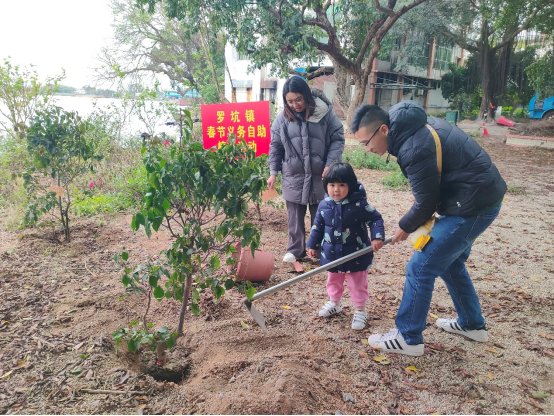 240222春節(jié)植樹不打烊，綠美建設(shè)再啟航 (11).png