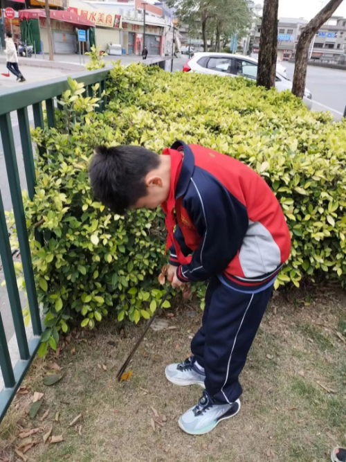 圖片