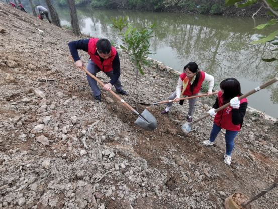 240319助推“百千萬(wàn)工程” 共建綠美家園 (2).png