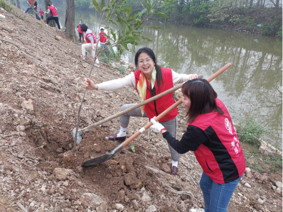 240319助推“百千萬(wàn)工程” 共建綠美家園 (3).png