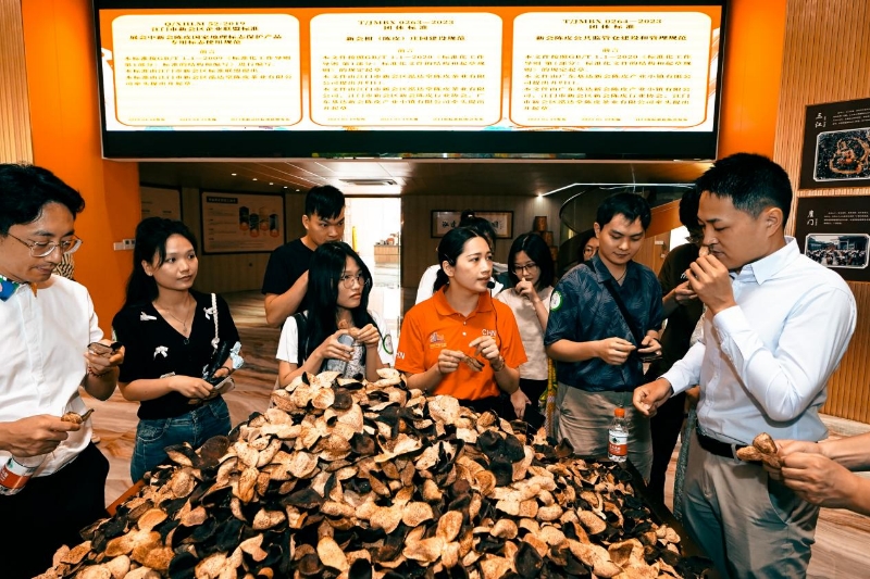 圖片3.jpg
