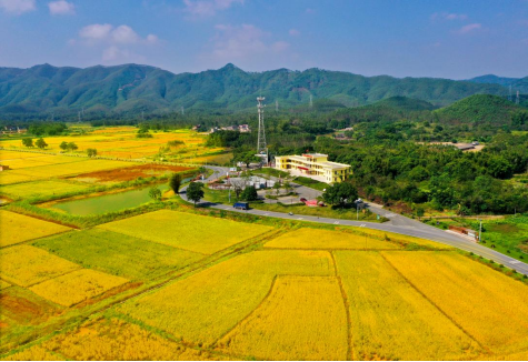 240625 2024年江門市全國(guó)“土地日”主場(chǎng)宣傳活動(dòng)在恩平市啟動(dòng) (5).png