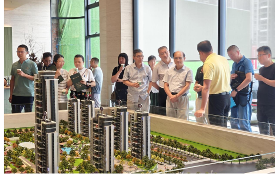 240726市規(guī)委會組織開展房地產(chǎn)項目規(guī)劃管理專題調(diào)研.png