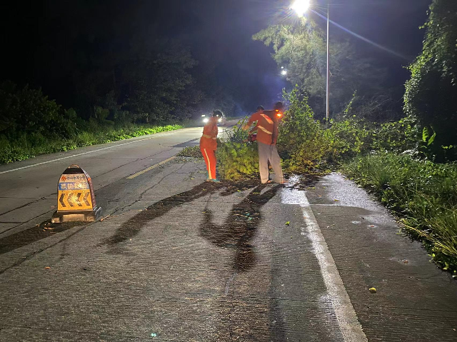 6臺山地方公路服務(wù)中心大塘道班，9月5日晚上在S274連灘-端芬，安排人員清理倒伏樹枝，采取正常通行.jpg
