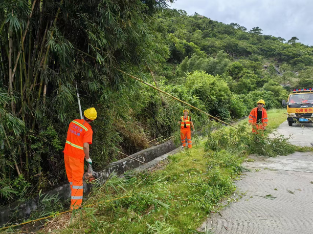 7臺山公路事務(wù)中心清理倒伏的樹枝.jpg