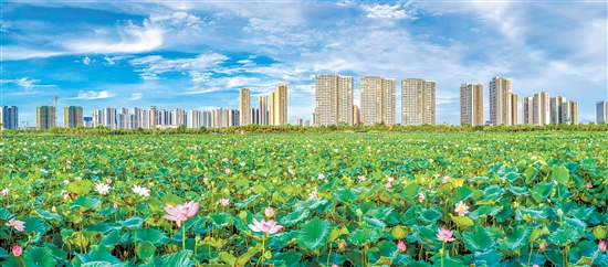新會(huì)區(qū)位居全國(guó)高質(zhì)量發(fā)展百?gòu)?qiáng)區(qū)第40位。