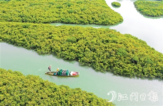 優(yōu)質(zhì)豐富的生態(tài)資源是恩平的核心優(yōu)勢(shì)，也是恩平市推動(dòng)經(jīng)濟(jì)社會(huì)高質(zhì)量發(fā)展的重要依托。