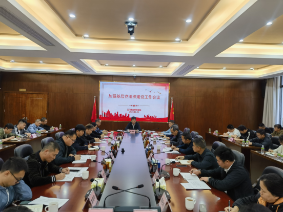 241205市自然資源局召開(kāi)加強(qiáng)基層黨組織建設(shè)工作會(huì)議.png