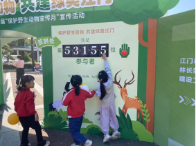 241212保護野生動物，共建綠美江門 (1).png