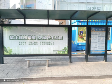 241212保護野生動物，共建綠美江門 (7).png