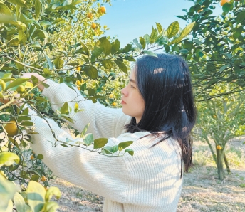 微信截圖_20241218091936.png