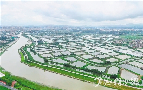 古勞鎮(zhèn)發(fā)動(dòng)魚塘養(yǎng)殖戶開展魚塘清淤，推動(dòng)魚塘養(yǎng)殖增產(chǎn)增收。