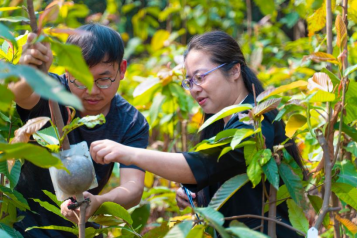 扎根林業(yè)二十載 科技興林譜新篇——江門市林科所劉一貞榮獲“廣東省勞動模范”稱號