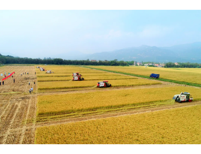 【縣社經驗】臺山市社：創(chuàng)“四方”惠多方 打通農業(yè)社會化服務“最后一公里”