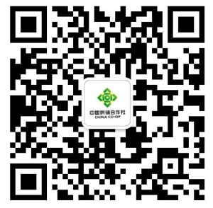市社微信公眾號二維碼1.jpg