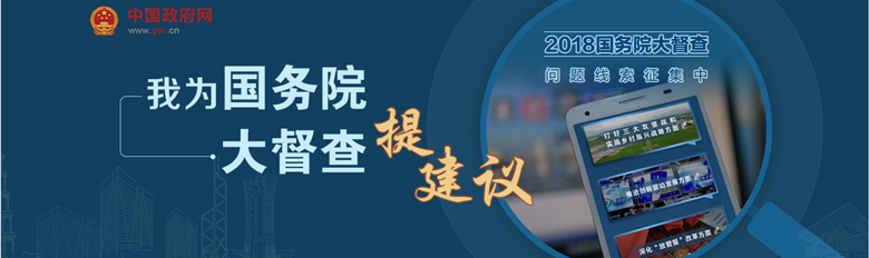 我為國務院大督查提建議.png