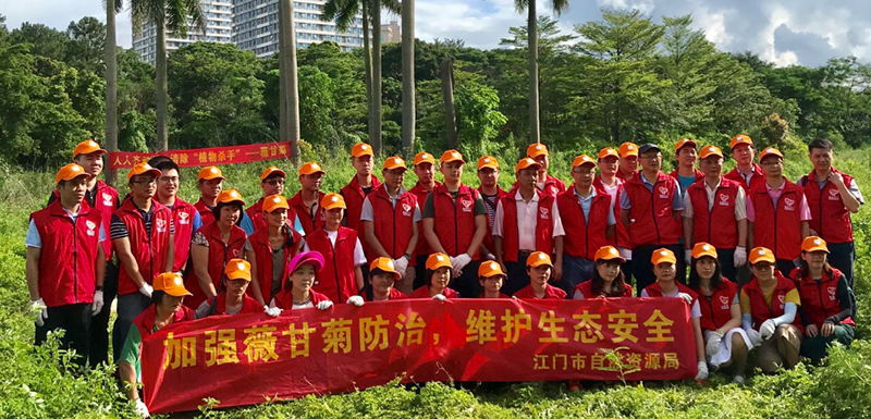 190624爭(zhēng)當(dāng)綠色先鋒推動(dòng)黨建與業(yè)務(wù)融合 (1).png