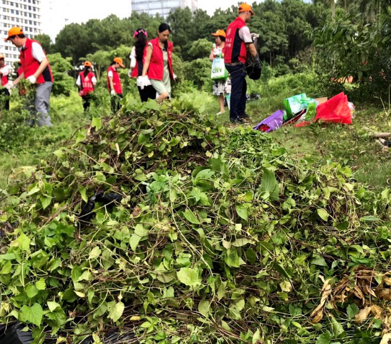 190624爭(zhēng)當(dāng)綠色先鋒推動(dòng)黨建與業(yè)務(wù)融合 (2).png