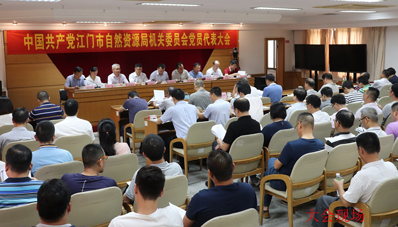 190702中共江門市自然資源局機(jī)關(guān)委員會(huì)黨員代表大會(huì)順利召開 (1).jpg