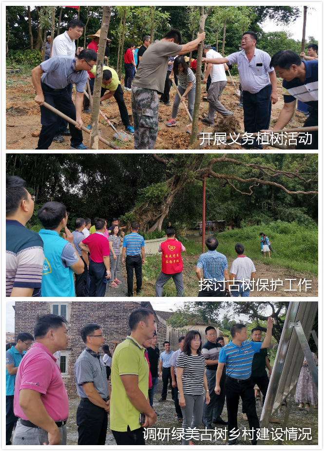 190904省林業(yè)局生態(tài)保護修復處到開平市開展主題黨日活動并調研森林小鎮(zhèn)建設 (1).jpg