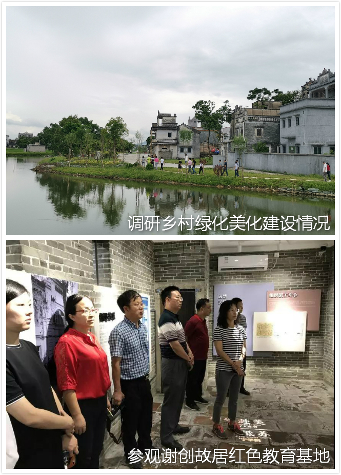 190904省林業(yè)局生態(tài)保護修復處到開平市開展主題黨日活動并調研森林小鎮(zhèn)建設 (2).jpg