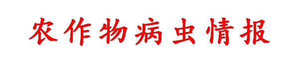 圖片3.jpg