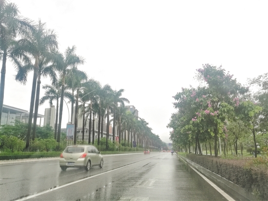 蓬江區(qū)發(fā)展大道無違規(guī)停放機動車。